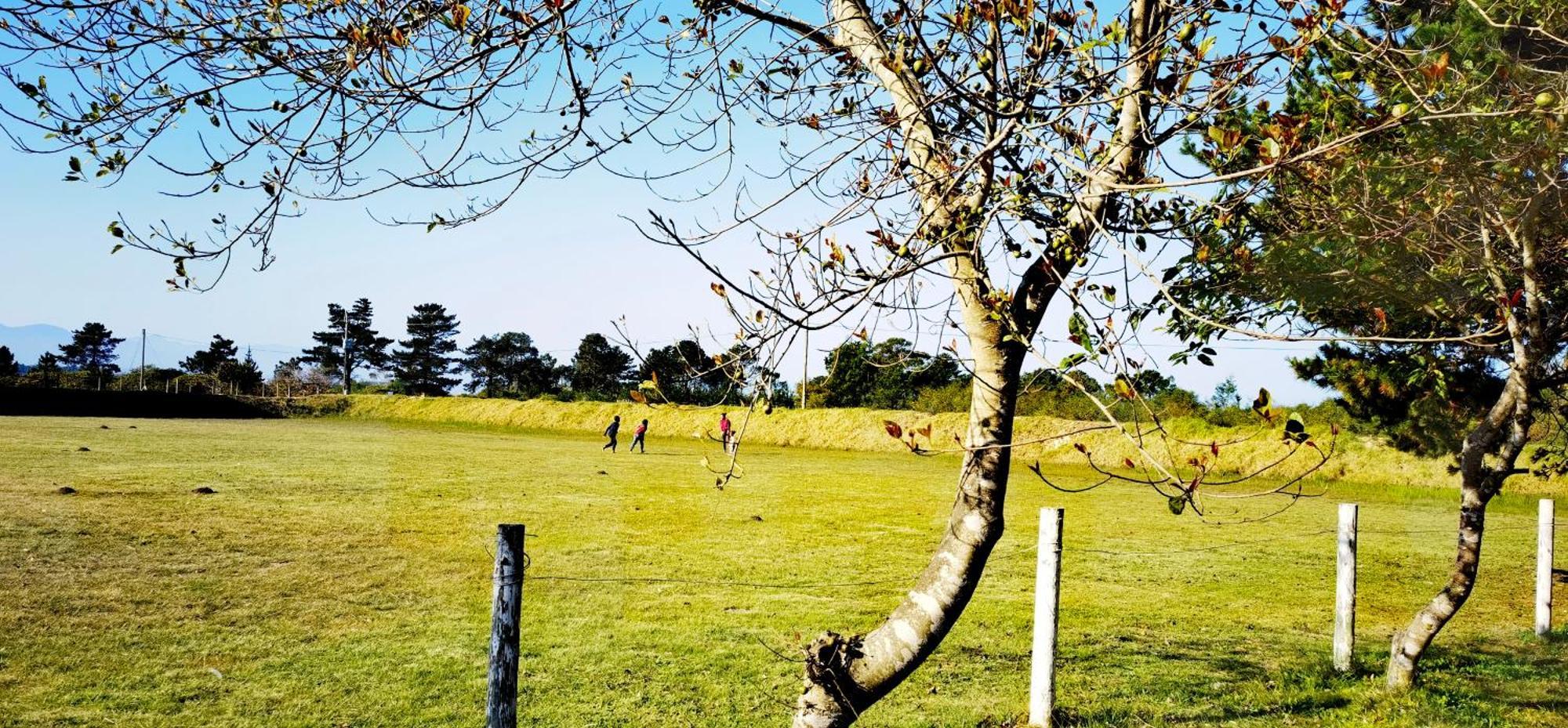 Moonsong Accommodation & Camping Plettenberg Bay Εξωτερικό φωτογραφία