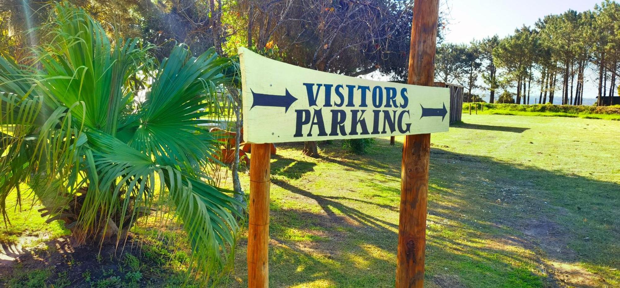 Moonsong Accommodation & Camping Plettenberg Bay Εξωτερικό φωτογραφία