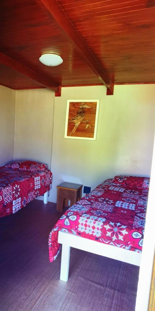Moonsong Accommodation & Camping Plettenberg Bay Εξωτερικό φωτογραφία